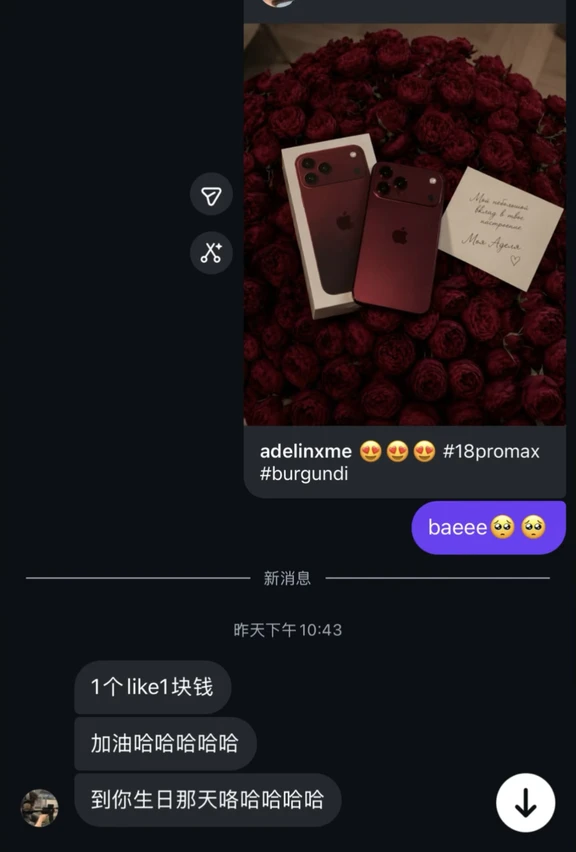 🇲🇾 各位我的ip 18 promax 1tb靠你们了🥺