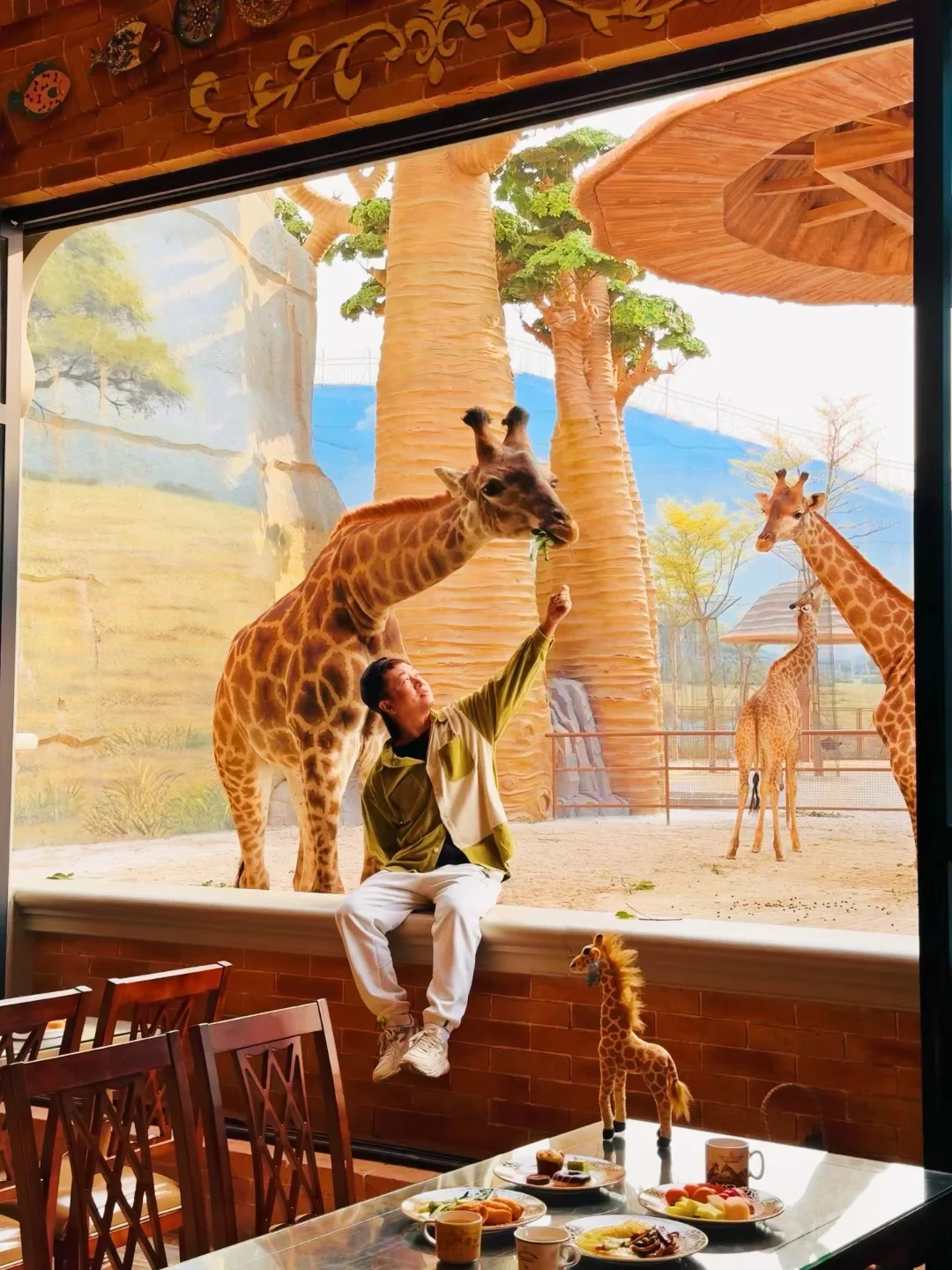 长颈鹿闯入我的房间，我真的没有去非洲！