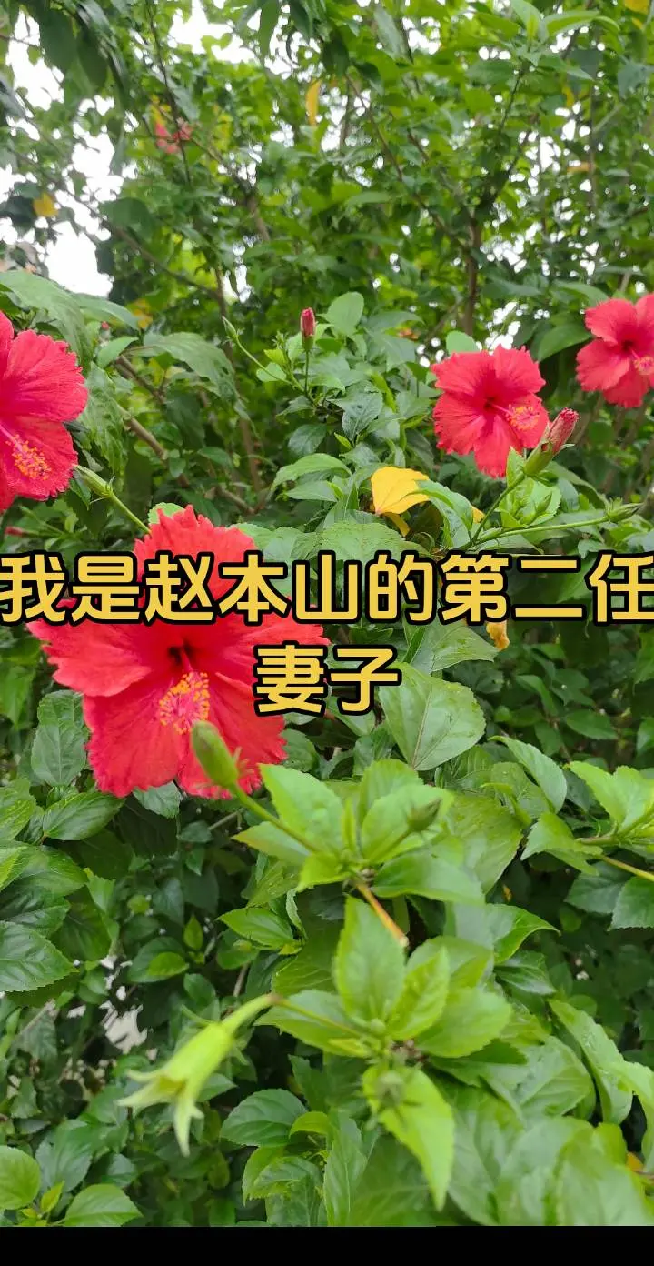 NBA孚后四决雷霆vs马刺，文班亚马超还二分庄神级表现，鏖战双加时！率马刺客场力克雷霆，抢下头筹！nba季后赛文班亚马
