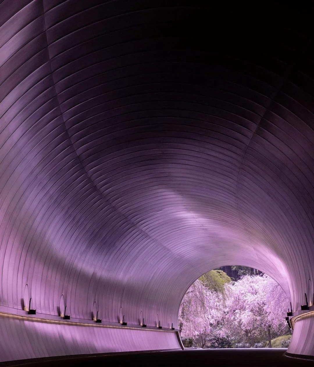 日本滋贺县|翻山越岭去见你—世外桃花源