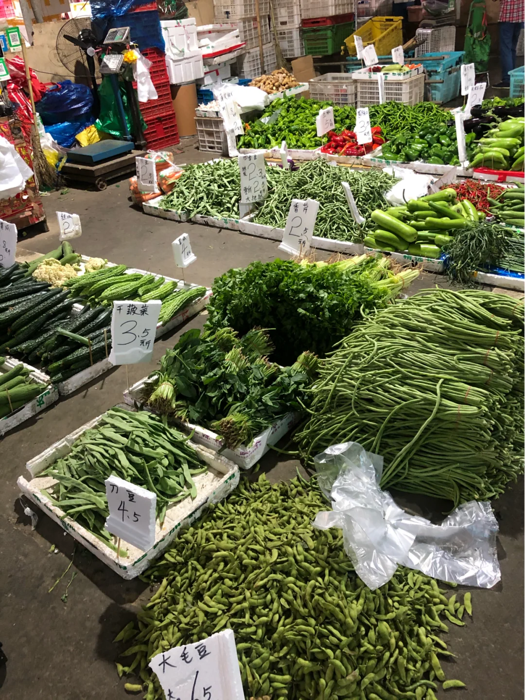美姐姐日常之继续带你们看一下菜市场价格