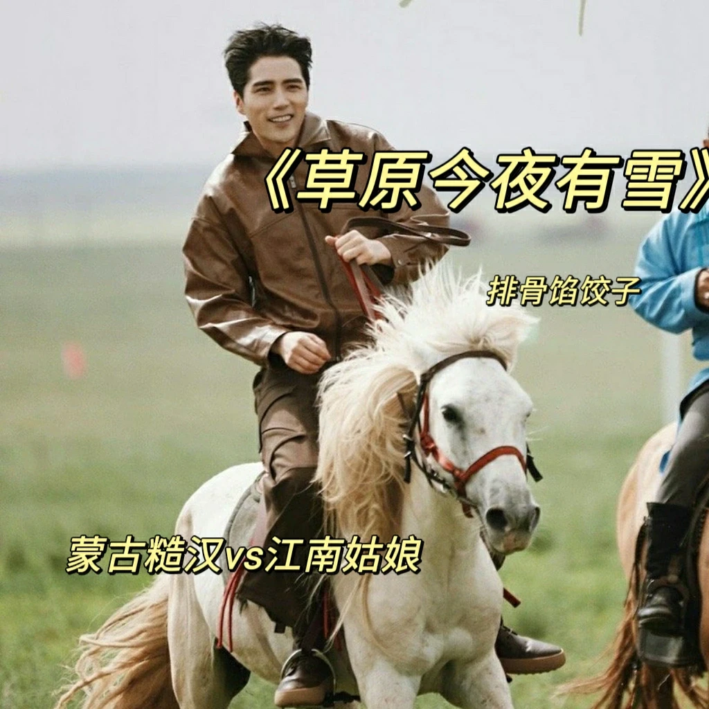 巨好看救赎文！《草原今夜有雪》