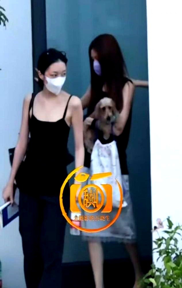 大理街头，三个女孩趿拉着同款人字拖，牵着狗在石板路上晃荡。

路人定睛一看，是窦靖童、李嫣和宋妍霏。前几天王菲过生日，切蛋糕时宋妍霏就凑在跟前，跟着姐俩一起闹腾，俨然成了这个家的编外人员。

两人去年拍戏才认识，如今直接打入核心圈。家里没长辈端着架子审查，也不搞名流社交那套虚头巴脑。朋友对脾气，就带