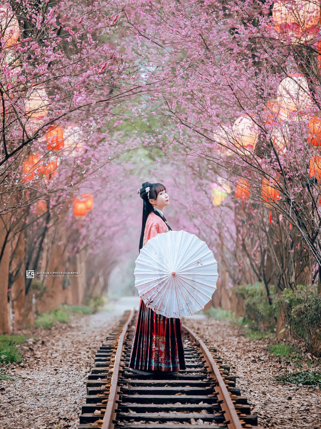 为了拍这条梅花隧道，我专程去了一次南京