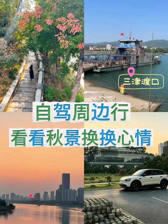 沿国道从渡口到城市日落的秋景