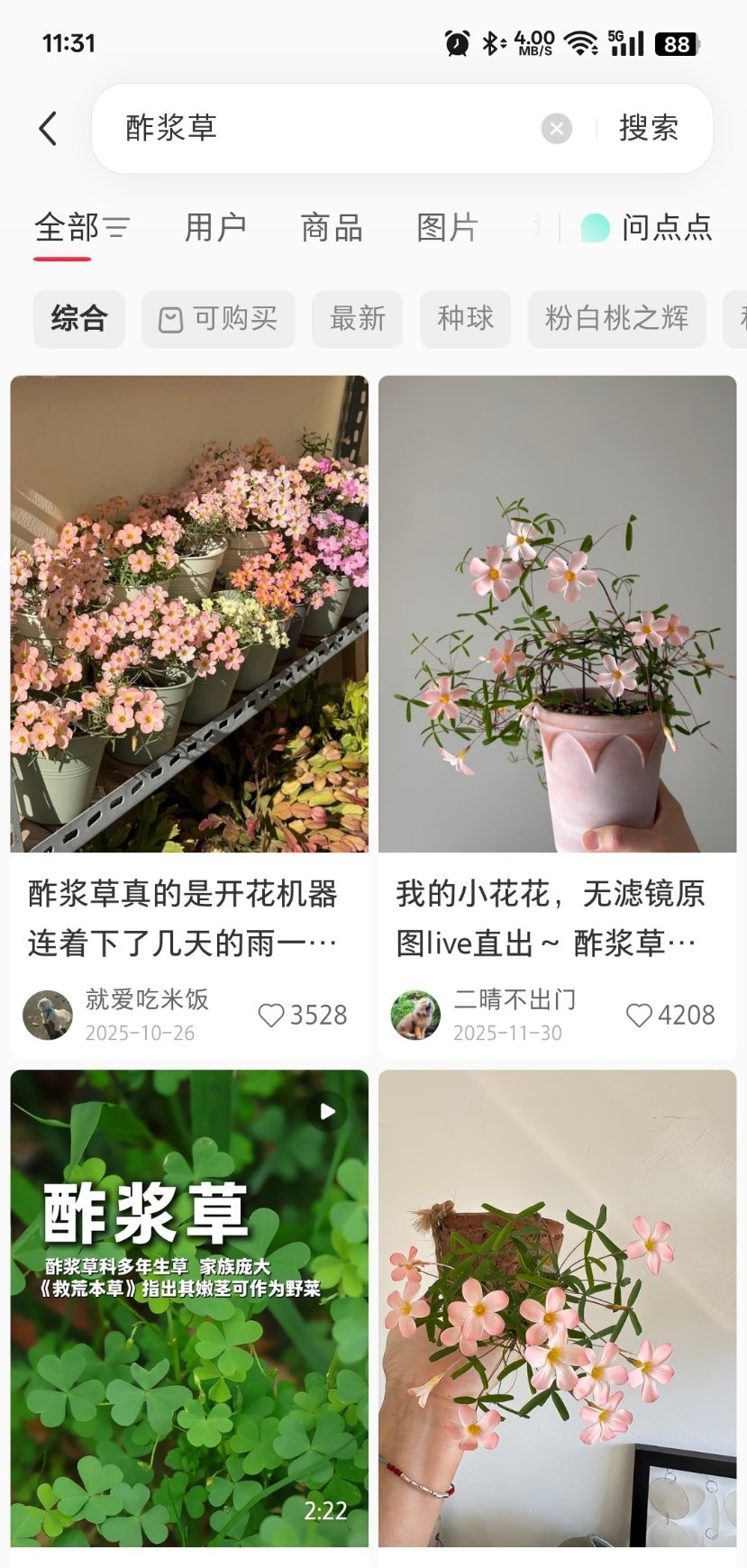 #尤长靖2026向光之地巡回演唱会# 
我天哪原来真的有这么漂亮的小花
我还以为是p的🥹 ​