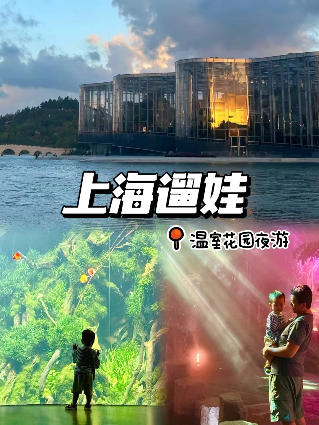 上海遛娃｜温室花园🌵变身🌵绿光森林啦‼️