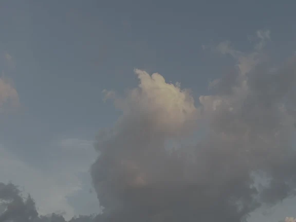 明知自损，依然制裁