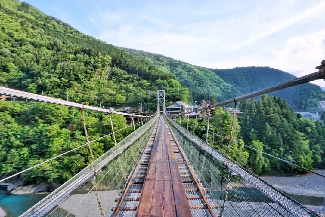 日本奈良县|白色情人节 来这里玩心跳吧