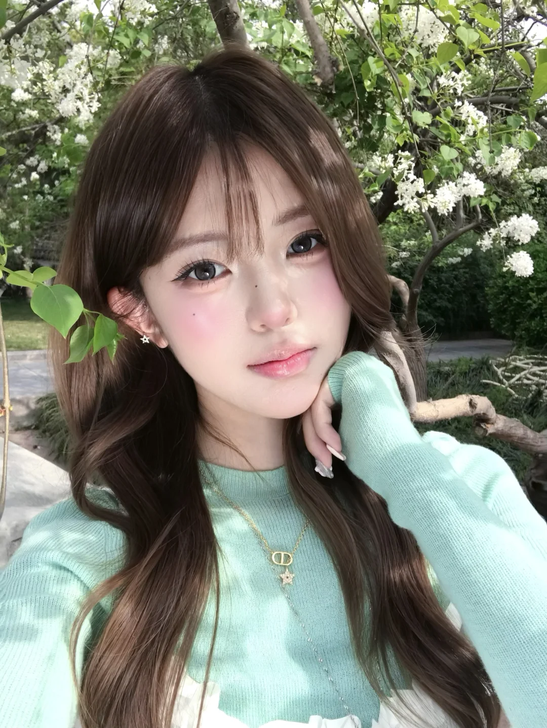 风吹来的时候是温柔的香气🫧