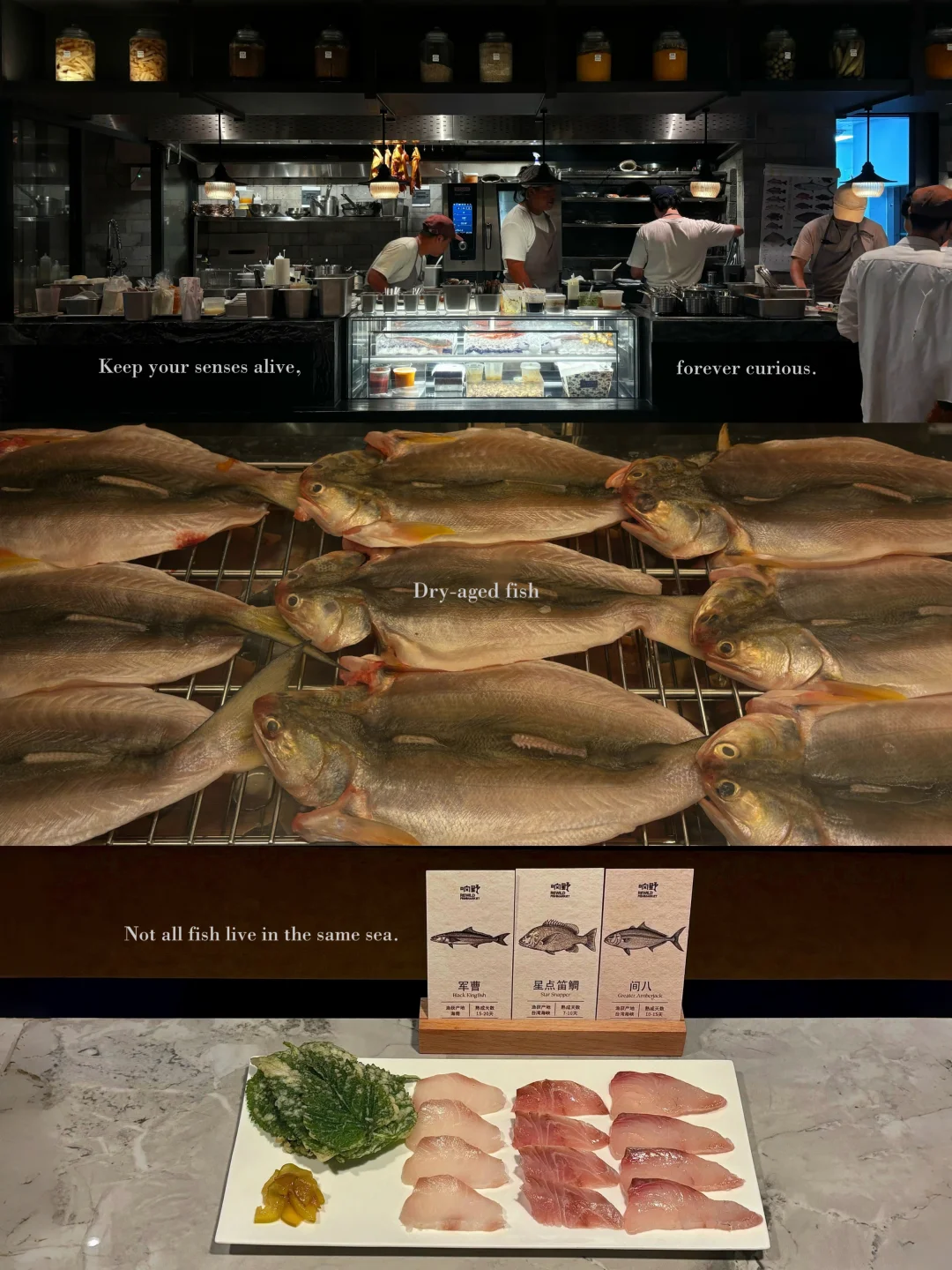 广州·很有 sense的干式熟成Bistro🐟