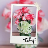 新波细说小姐姐