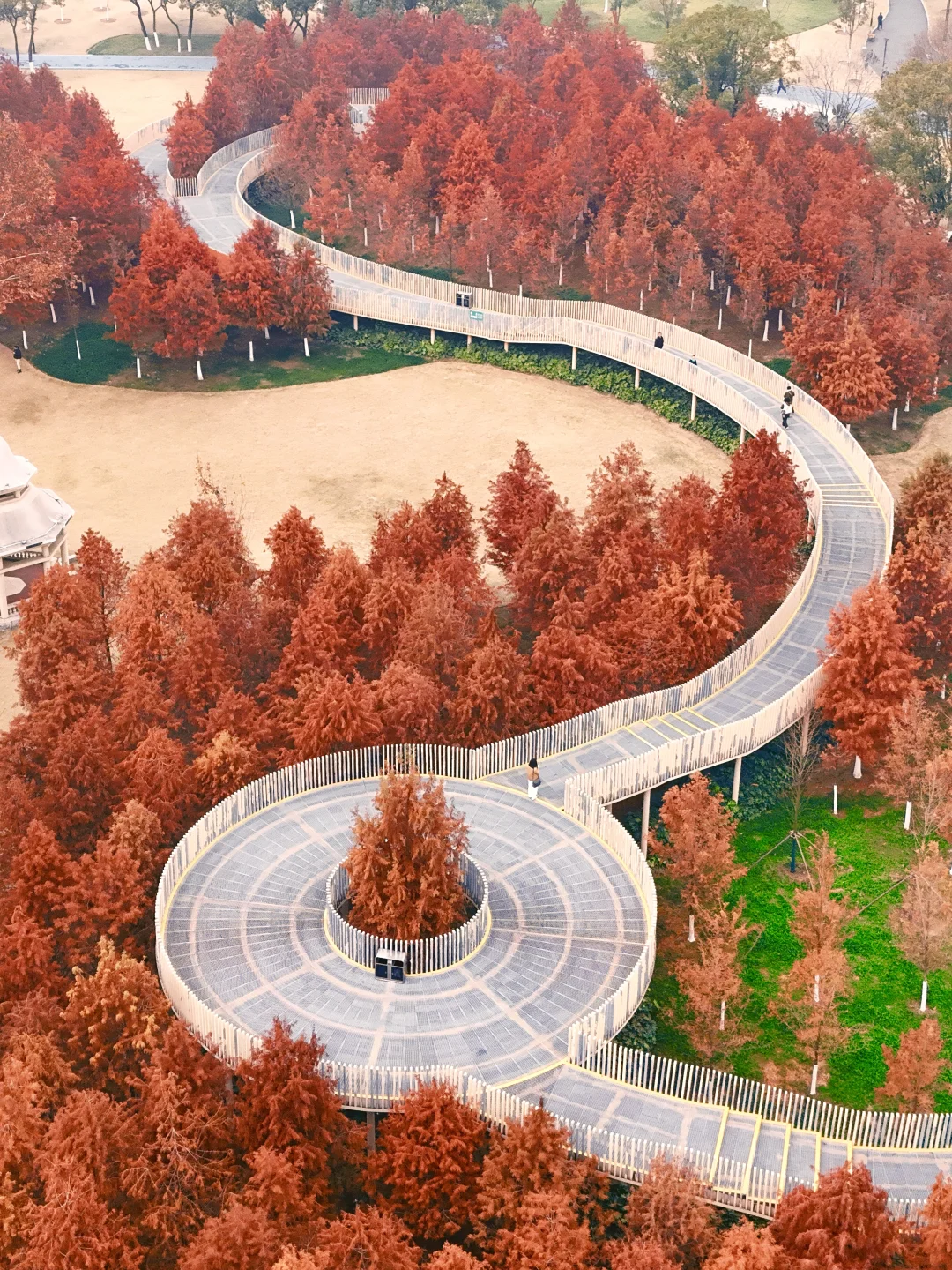 最新！武汉免费公园全红了！！！错过等一年！！