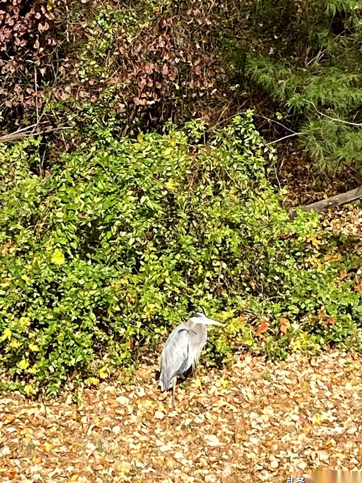 “性格不合。” 我跟你说，这四个字，是成年人世界里头，最体面、也是最扯...