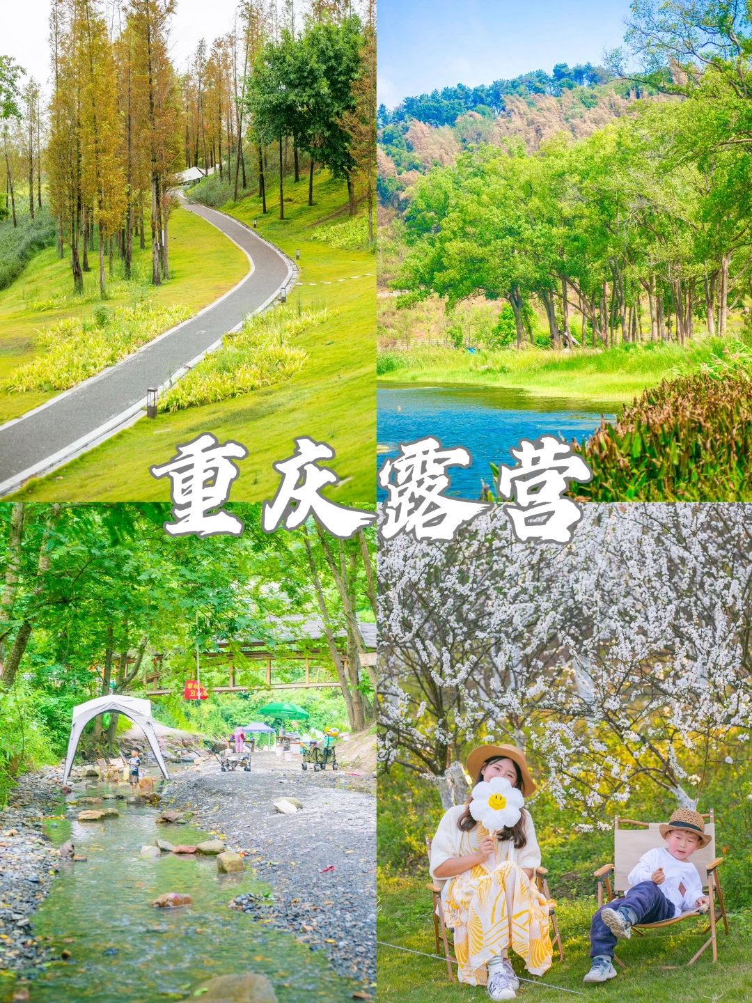 99%重庆人都想去的免费露营地🏕️附地址