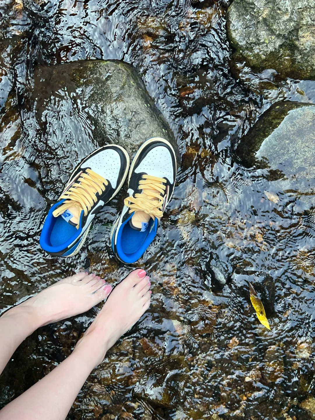 香港｜徒步踏秋去香港第一高山看夕阳—大帽山
