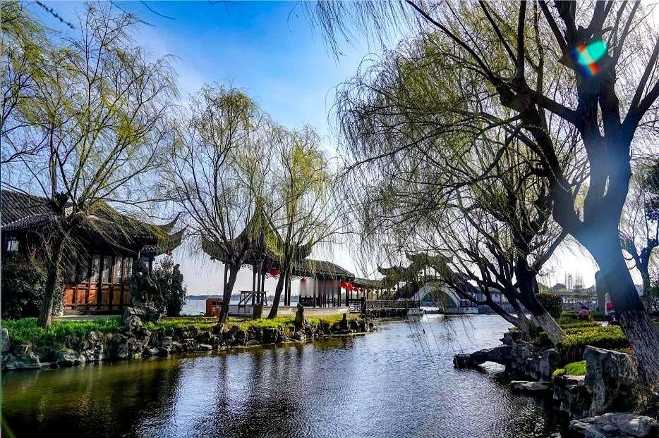 利物浦主场要翻车？阿森纳客场大开杀戒？这周欧冠剧本有点野。

巴萨打费耶诺德，大巴黎踢布拉迪斯拉发，这两场别指望有悬念，就是豪门单方面碾压，按着对手灌三个球起步。斯图加特遇上维京更是要下死手，四球打底。

硬骨头全在那不勒斯和利物浦这边。阿森纳这群人去客场根本不怵，对轰三球拿下的概率极大。最惨烈的绝