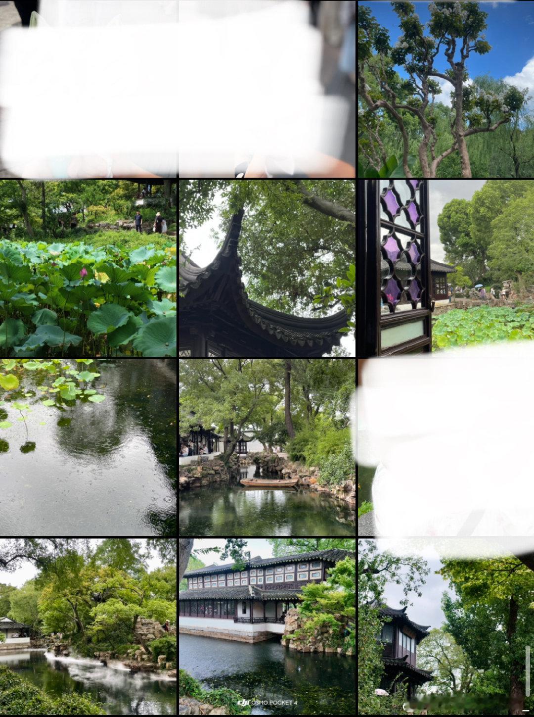#营业图[超话]#  ➗苏州拙政园 古风空景
p1是大疆pocket4拍的 买断2/
p2手机拍的 买断1.5/ ​