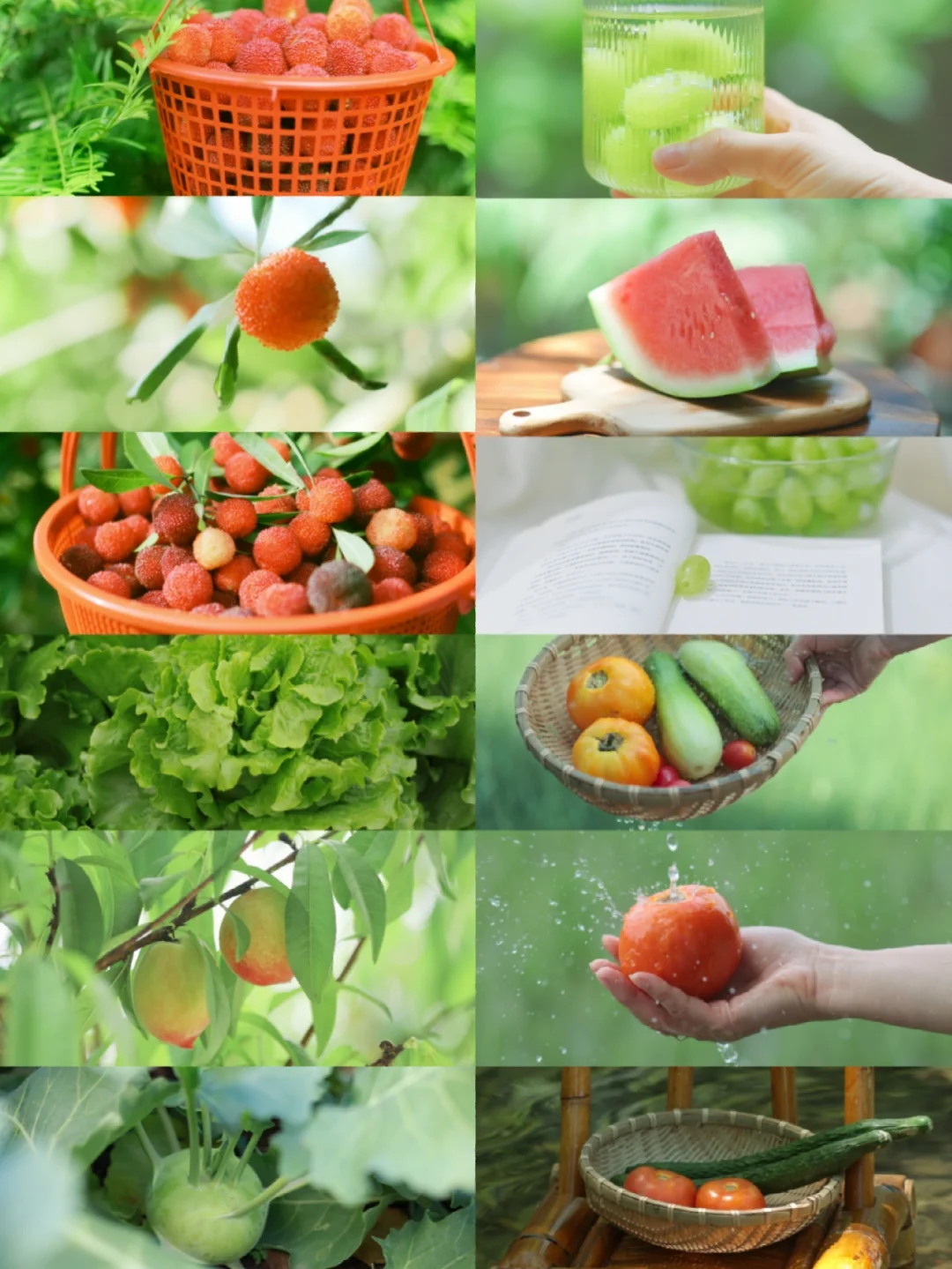 治愈小森林🌿朋友说我把生活拍成了电影