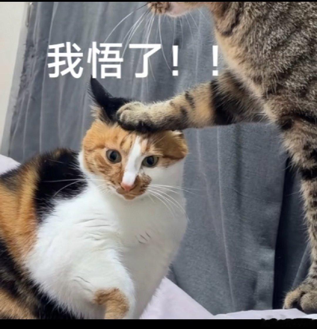 #Anthropic被曝秘密游说宗教界#
BS
科学的尽头是神学，这句话的含金量还在上升！不过神学也只是控制人心的手段之一，不管他们通过怎样的手段，不过是为了利益二字，看清楚这些之后不管他们做什么也不难理解了。 ​