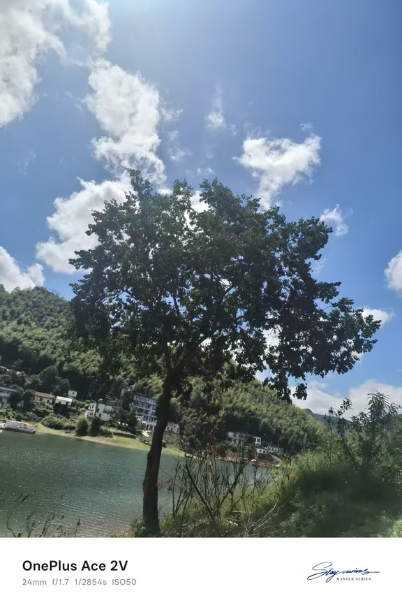 是树，是湖，是阳光，是快乐！📷