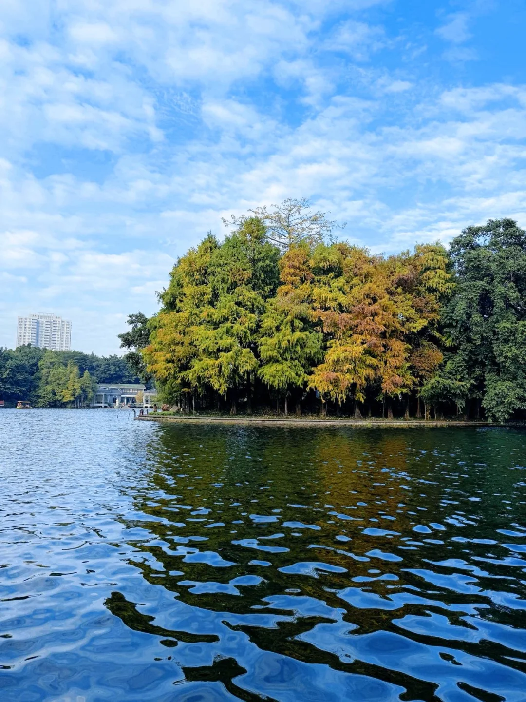 广州西关住对酒店！旅行便利又舒服😌