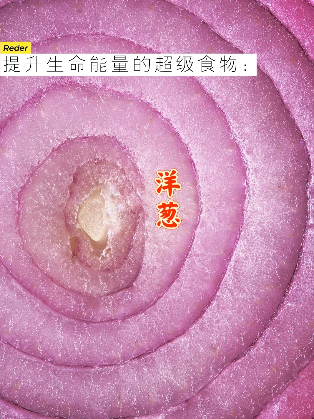 宇宙疗愈食物之：洋葱