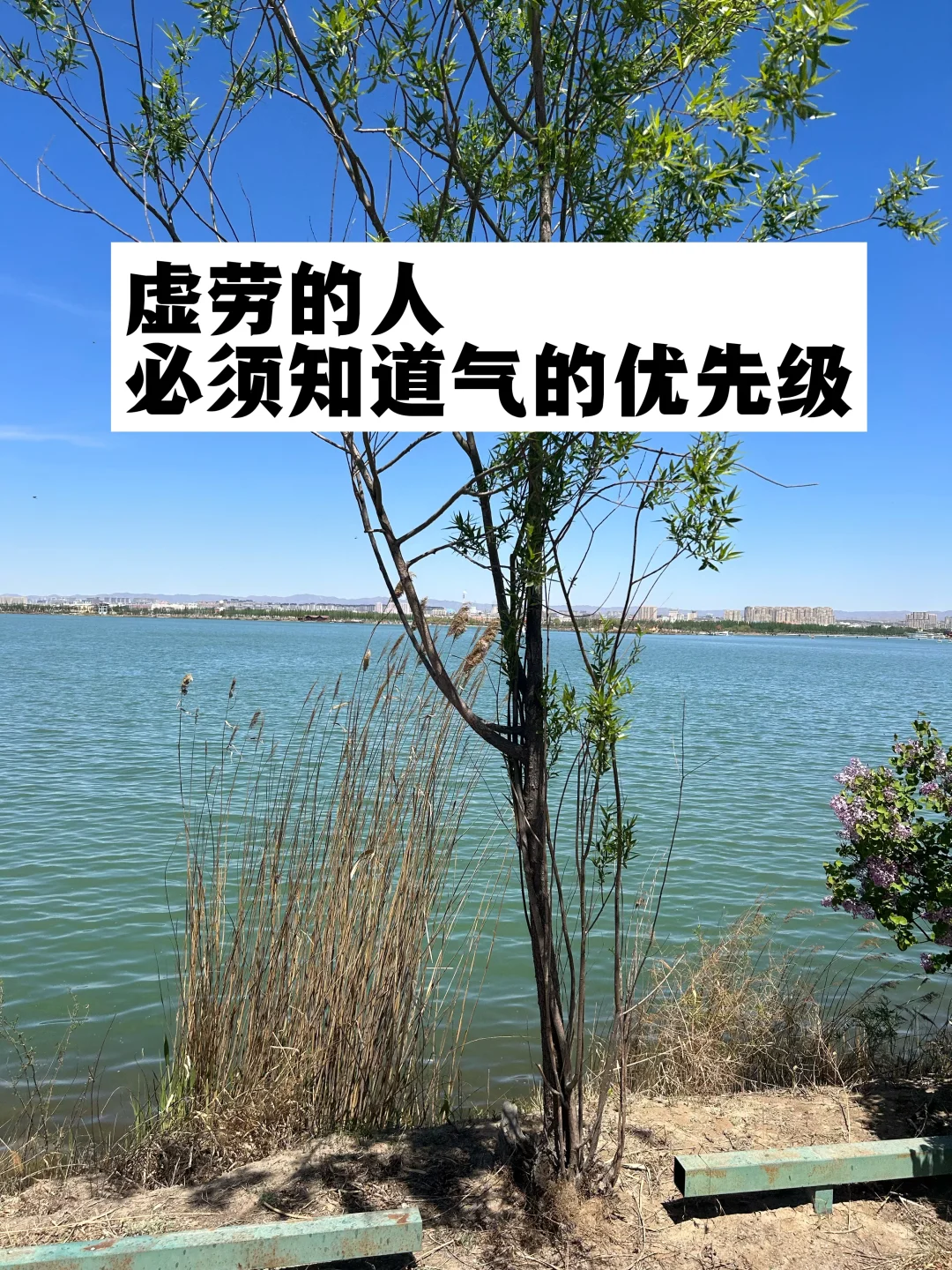 虚劳的人，必须知道气的优先级.