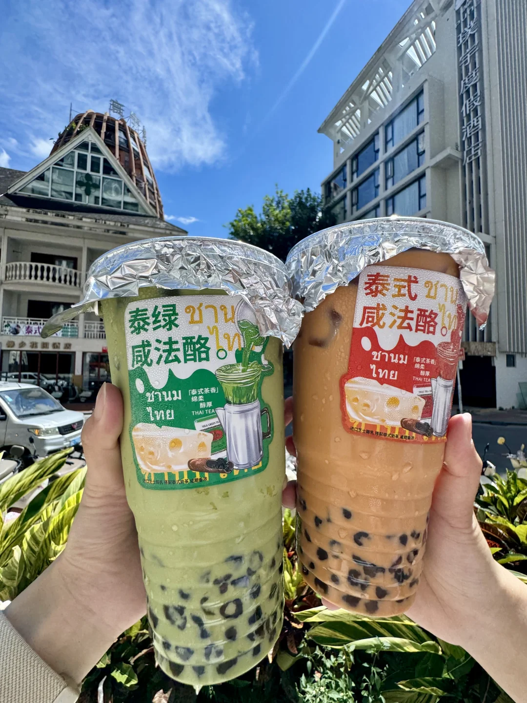 在版纳！在孔雀城！新开的野生菌火锅🍲