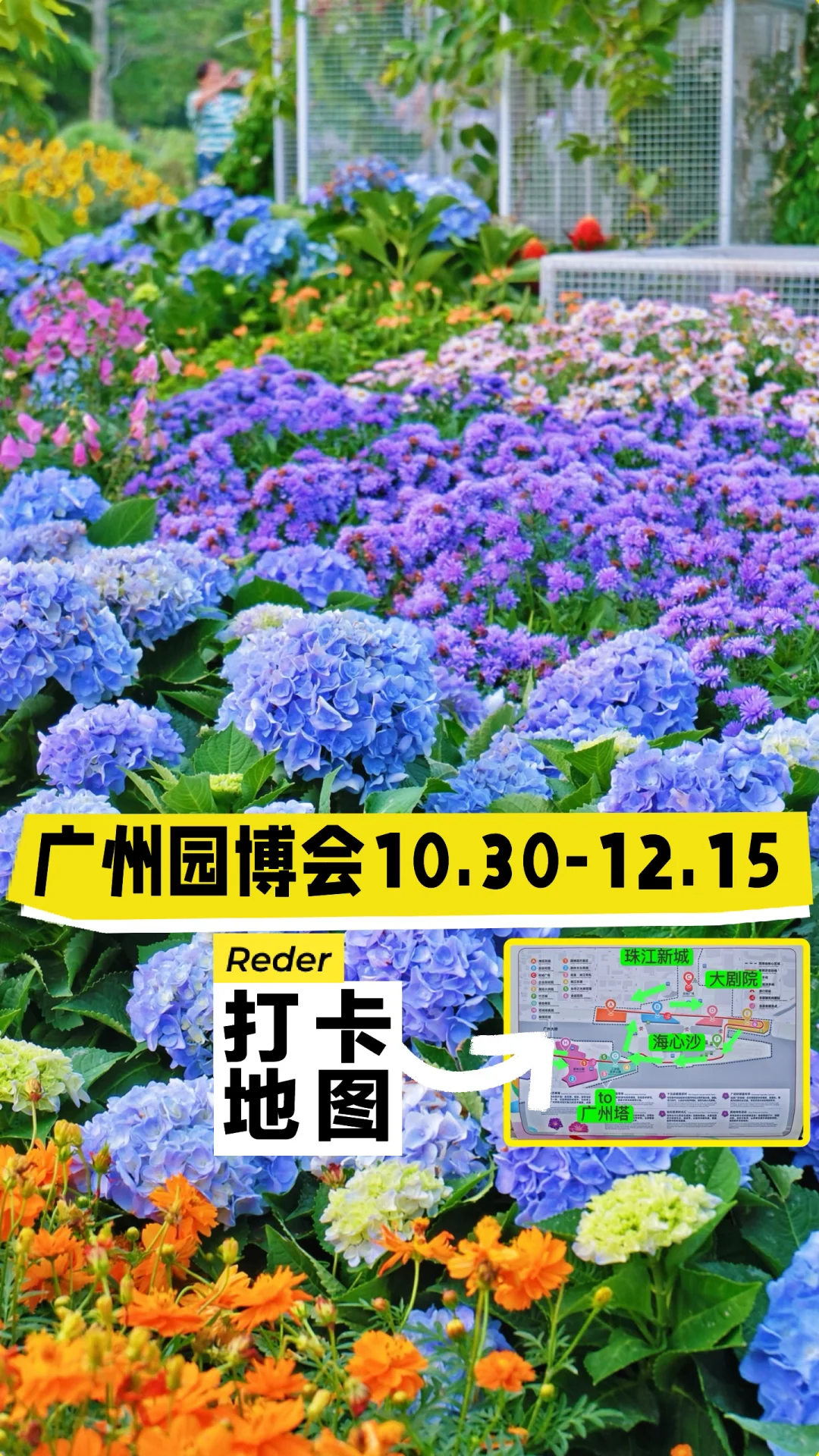 去什么法国啊‼️广州就是超大号莫奈花园！