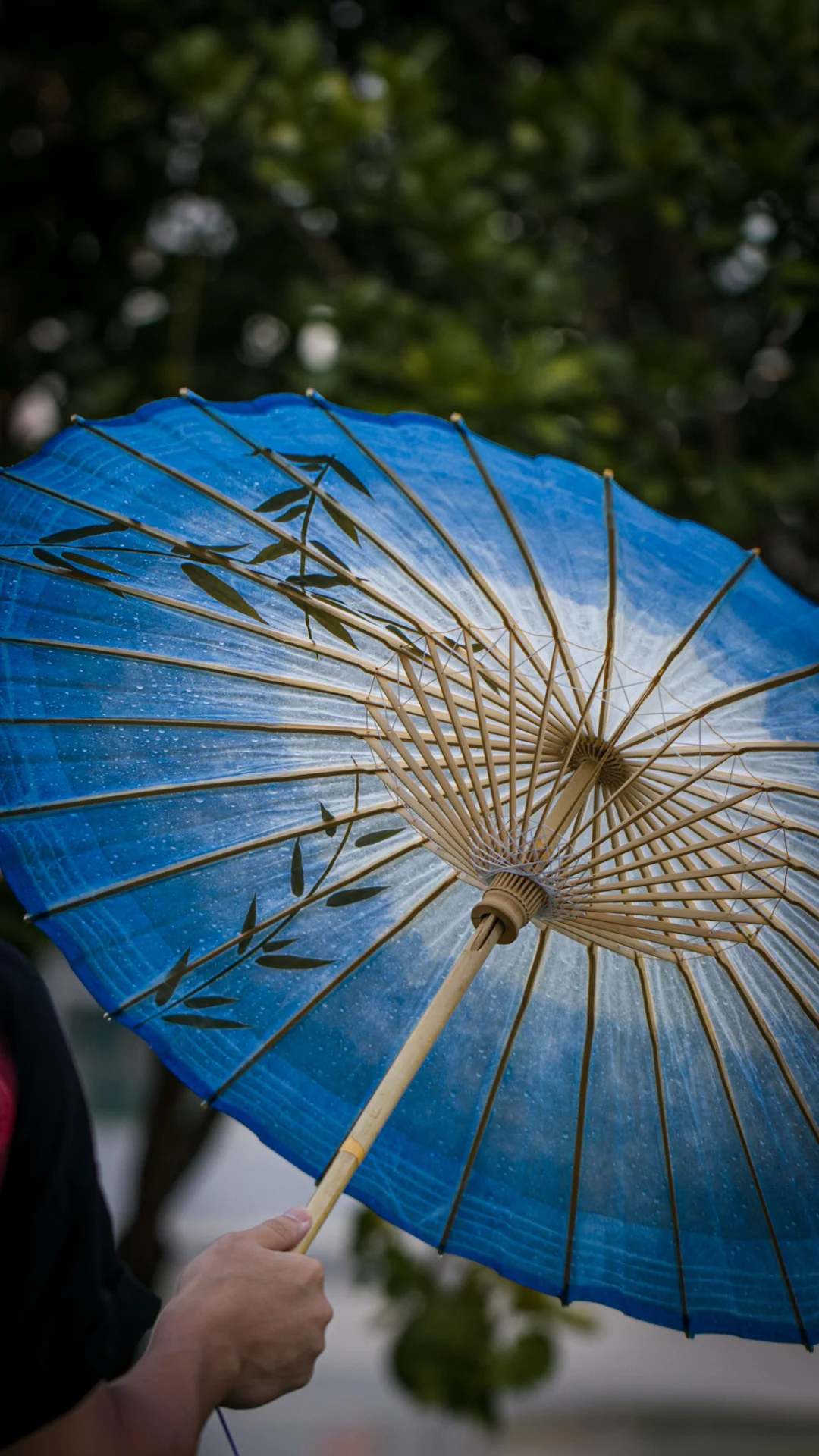 世界上最早的雨伞，只有中国和日本再做。