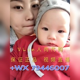 吴慕灵观娱乐