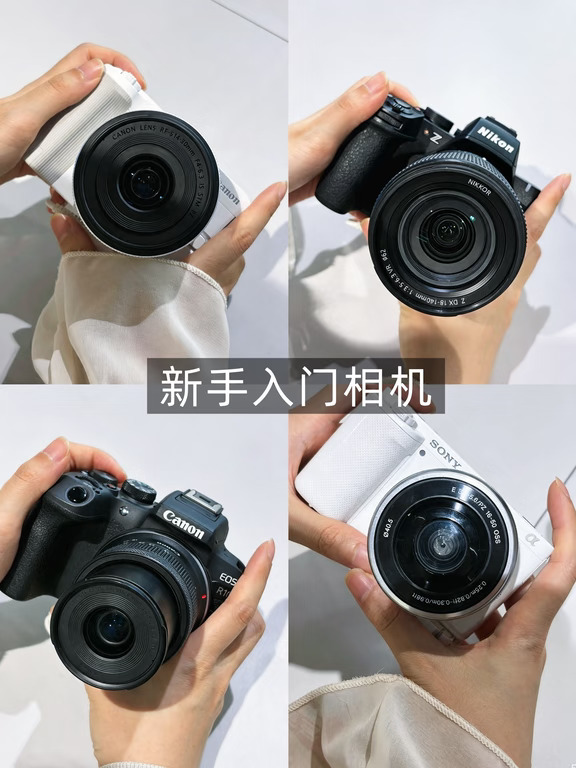 新手入门相机怎么选？这4款微单值得看看📷