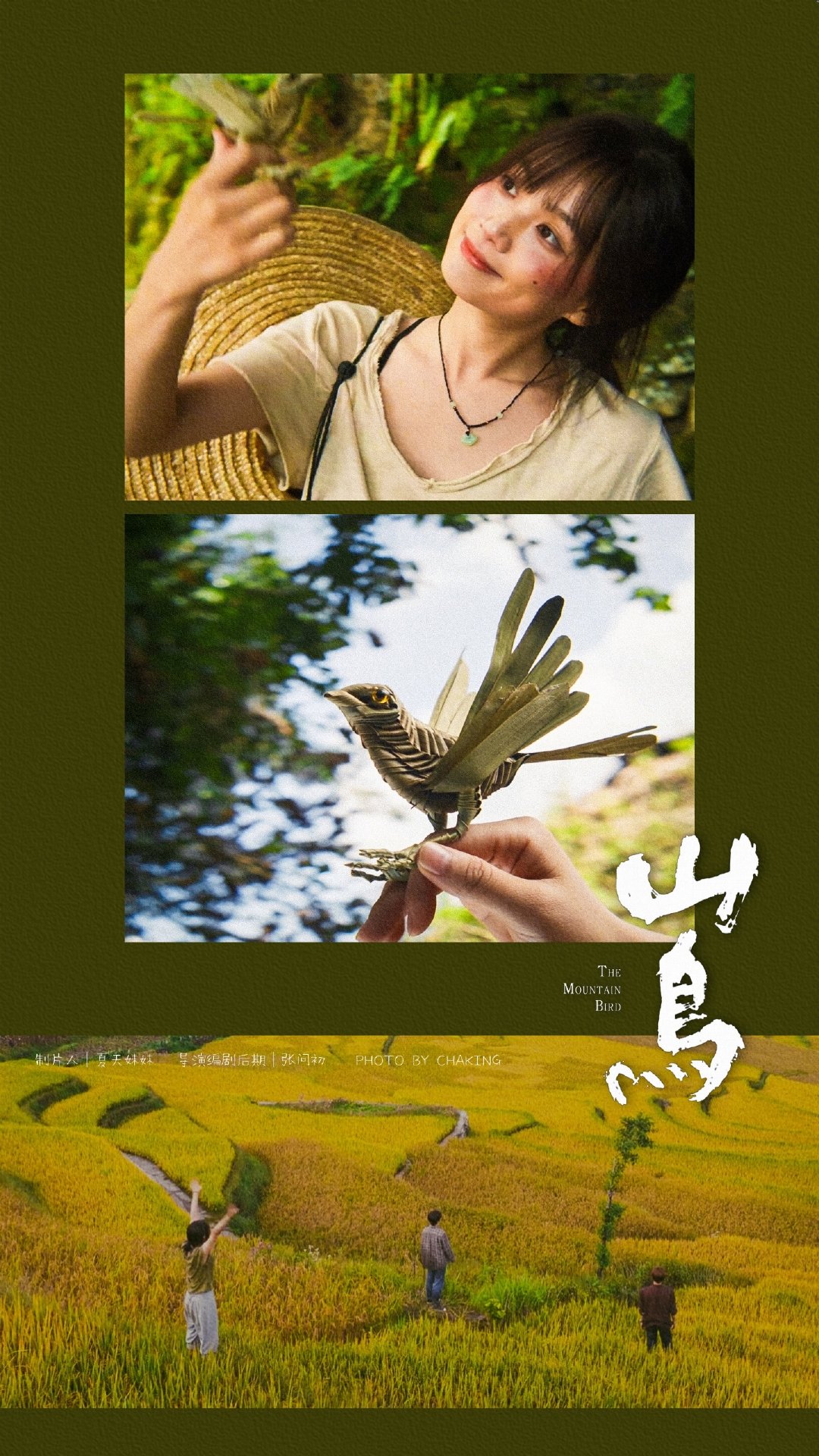 ⛰️山鸟｜镜头美学

“翅膀张开，就像了” ​