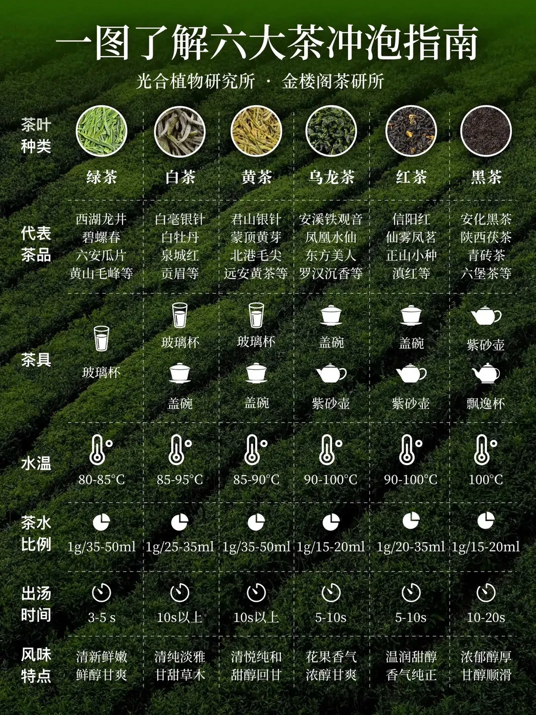 六大茶类冲泡技巧指南，一看就会！