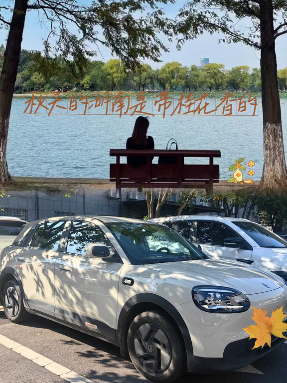 秋天的湖南是带桂花香的