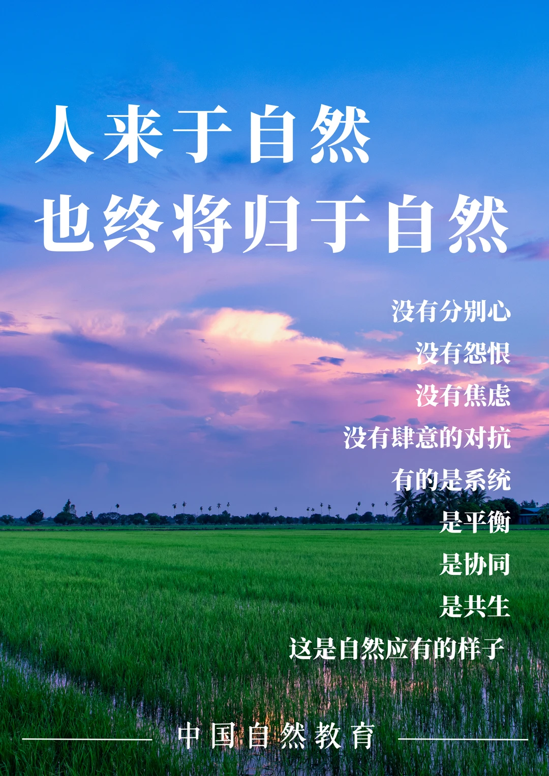 自然教育｜人来于自然，也终将归于自然