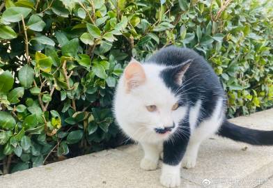 知道我回家的路，知道我什么时候出门，<br />知道出现在我必经之路等...