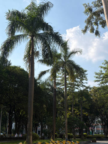 暑假第一天 重返校园