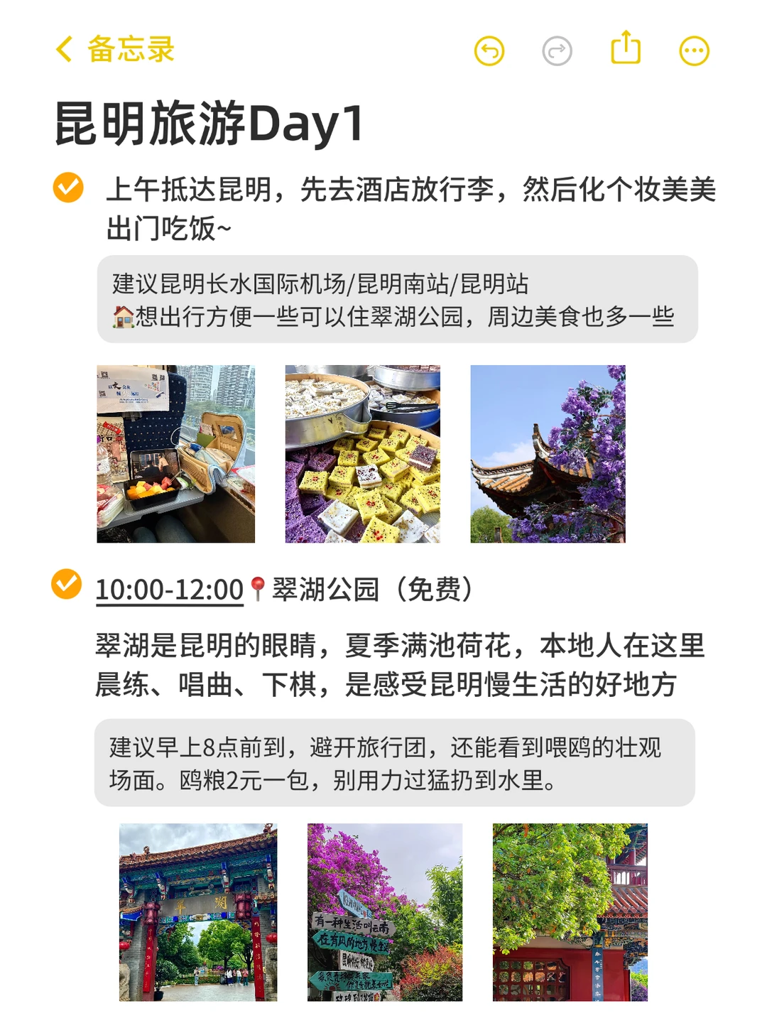 本J人做的昆明旅游攻略已经next level了