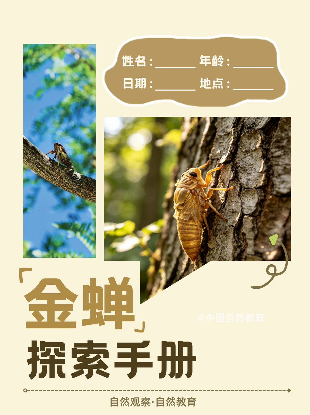 自然教育 | 听！树上有只小歌唱家