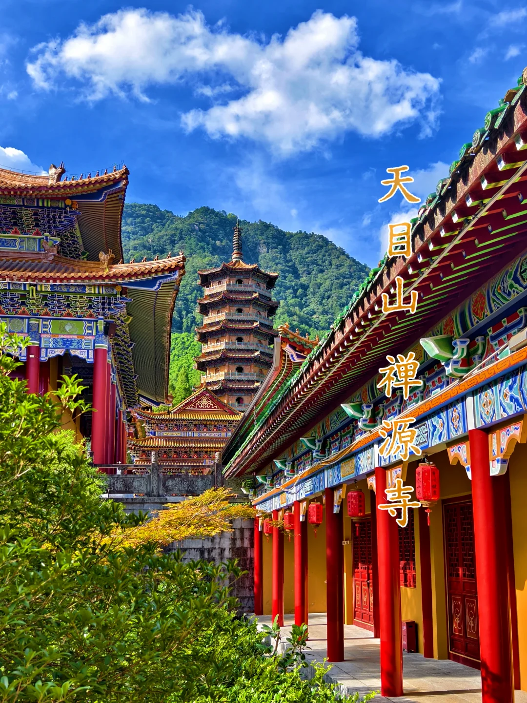 禅源寺|古寺寻幽，遇见人间小可爱