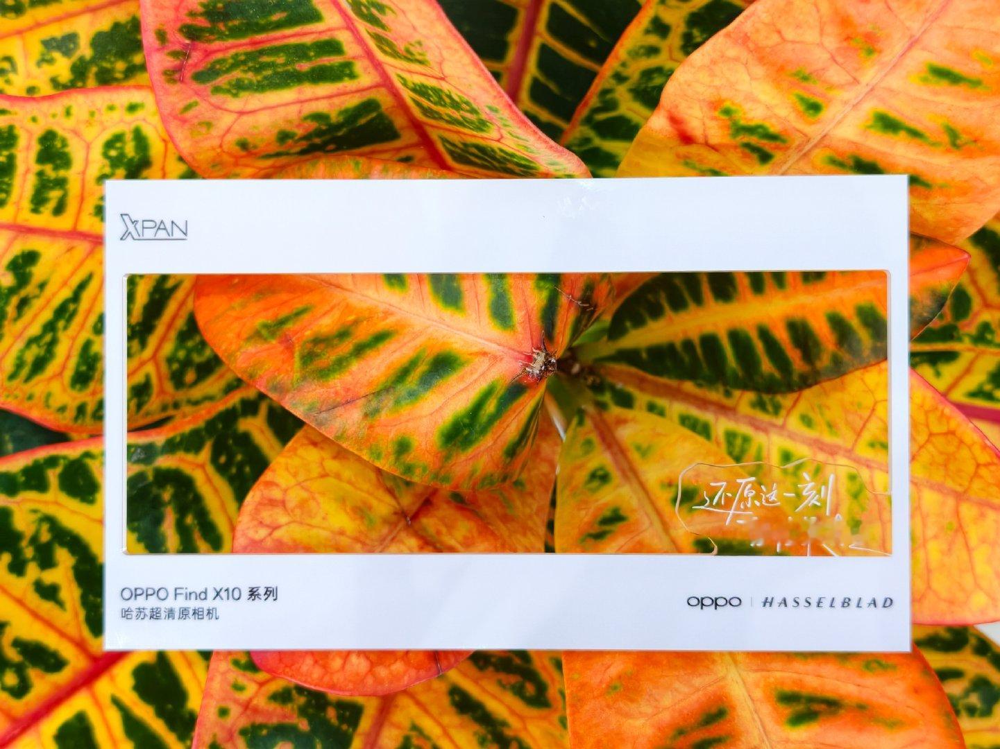 收到OPPO Find X10系列发布会邀请函！
内含四张镂空透卡，主打还原真实影像
9 月 22 号发布会见～ ​