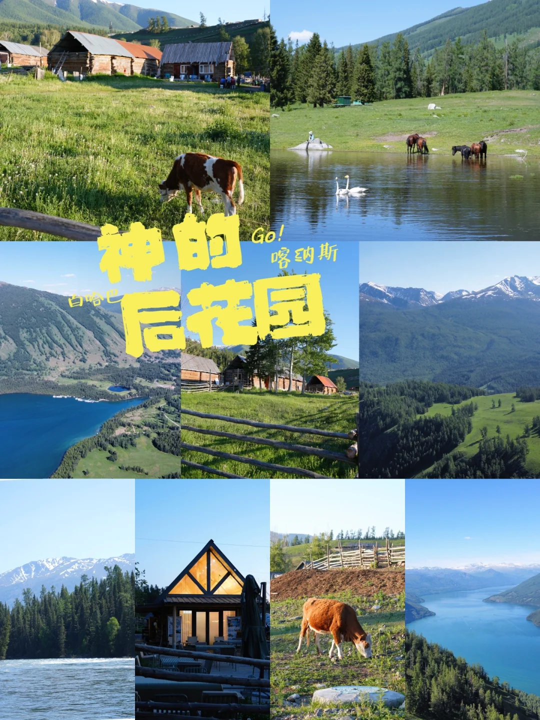 国家地理没有骗我！白哈巴真的太美了