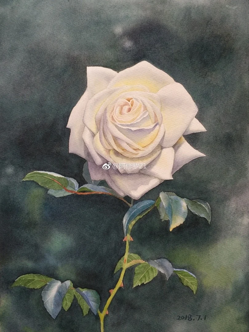 临摹黄有维老师的白玫瑰。看见白色花瓣总觉得很香，可能是联想到栀子花了。