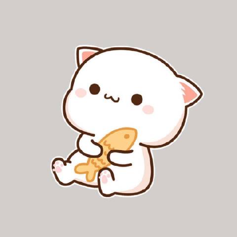东施飞行笔记