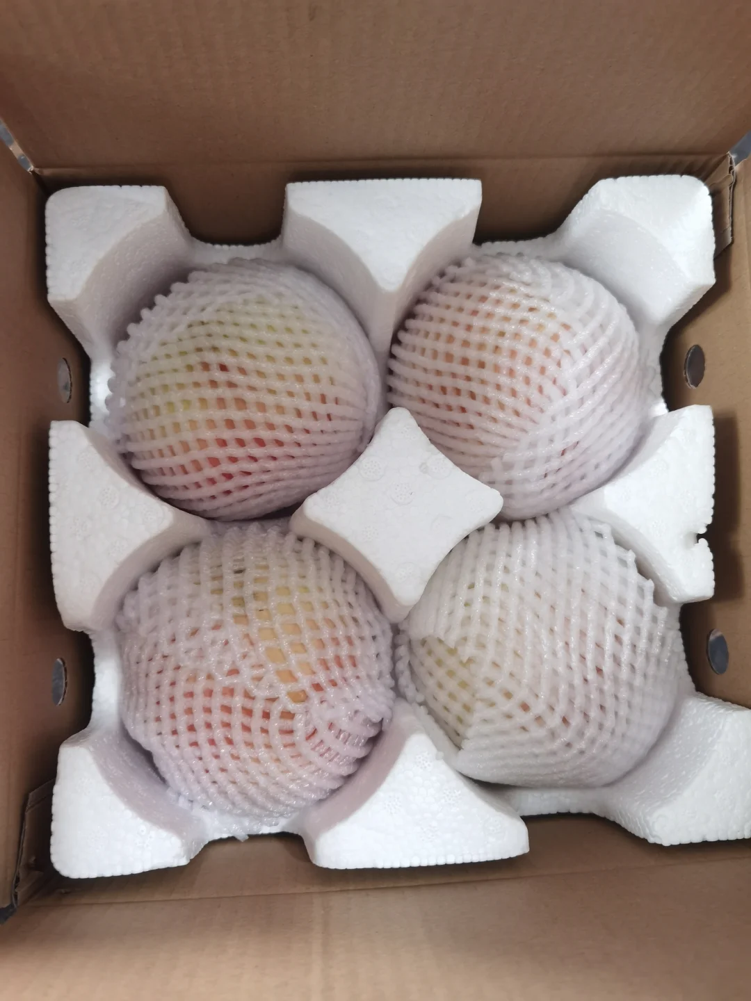 高端高品质，桃子中的轰炸机