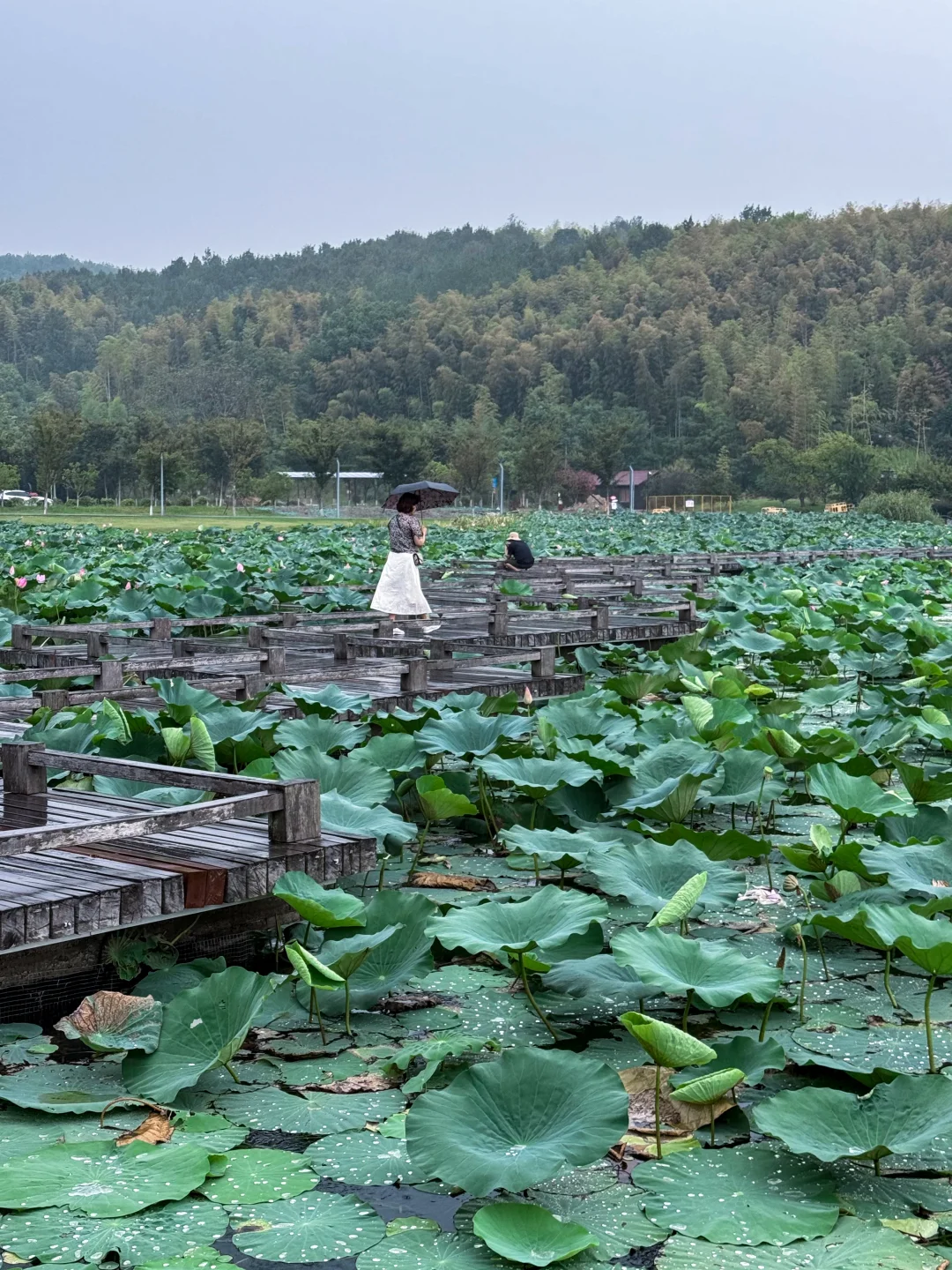 不是杭州西湖，是南北湖