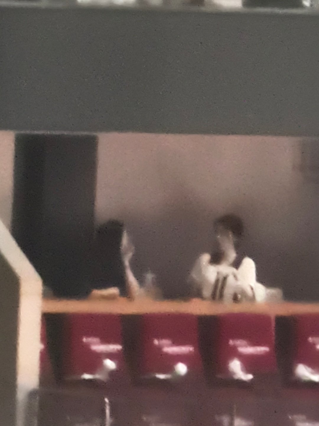 张碧晨和周杰[柯基] ​
