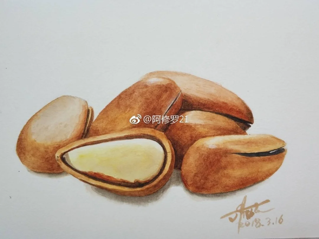 水彩松子。没拍步骤。